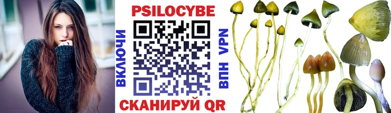 Псилоцибиновые грибы Cubensis  мега зеркало  Мегион 