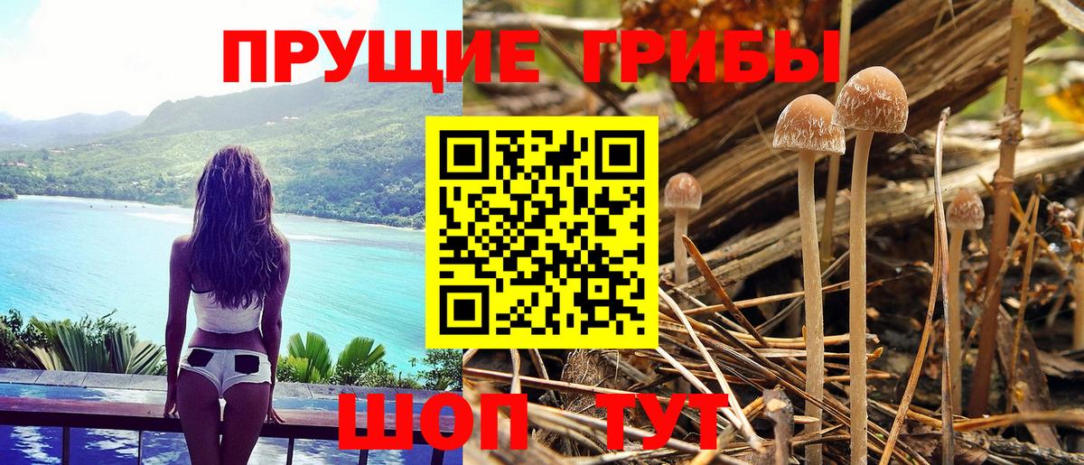 Галлюциногенные грибы MAGIC MUSHROOMS  Вход с VPN  Мегион  Галлюциногенные грибы мухоморы 