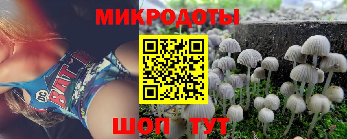 Галлюциногенные грибы прущие грибы Мегион