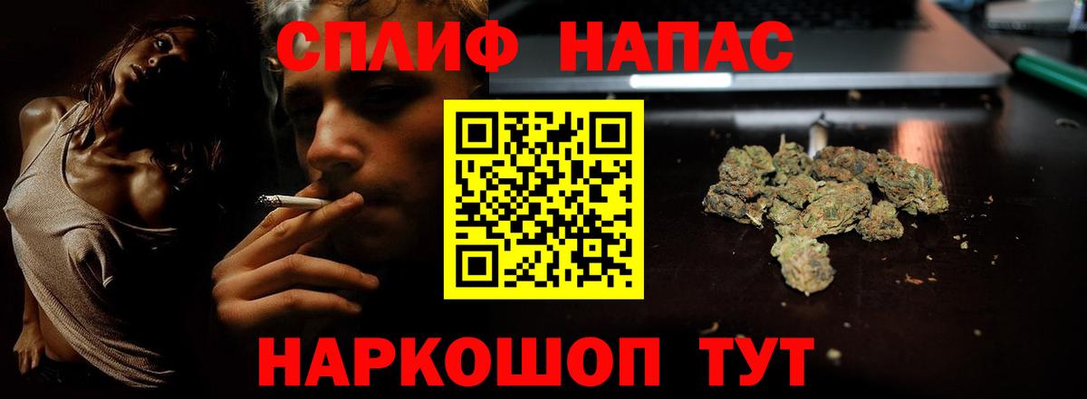 Бошки Шишки планчик Мегион